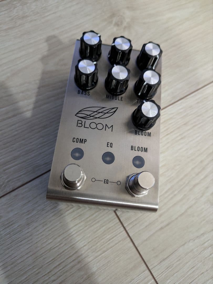 ギター JACKSON AUDIO BLOOM V2