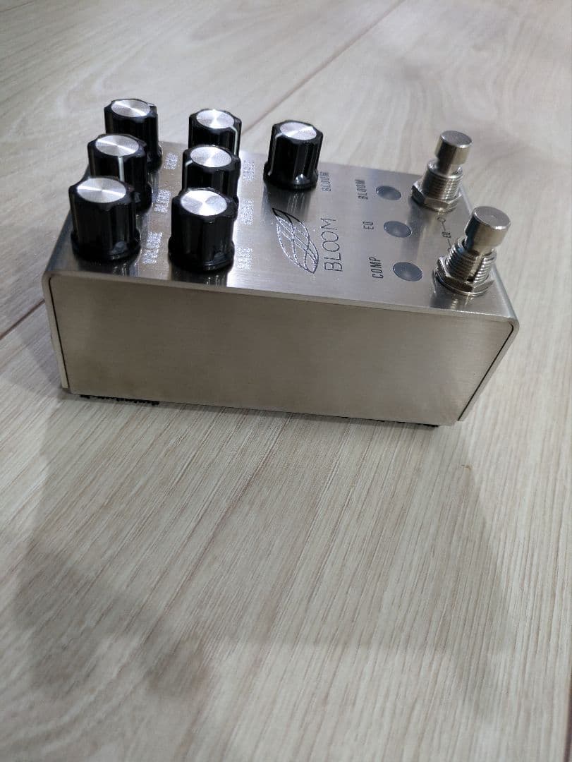 ギター JACKSON AUDIO BLOOM V2