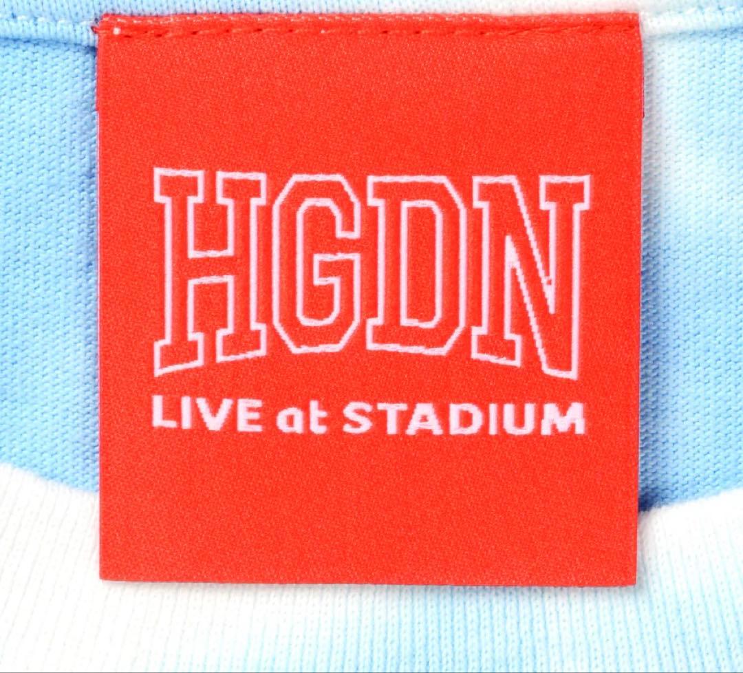 Official 髭男dism/STADIUM Tシャツ タイダイ 【Mサイズ】