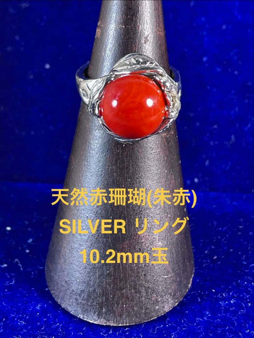 天然赤珊(朱赤)10.2mm SILVERリング 自家製 ＷＺー030