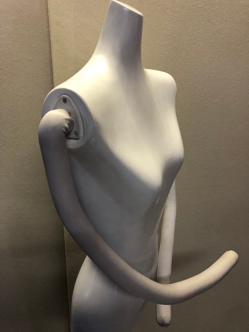婦人用トルソー・ボディ・マネキン・腕付き