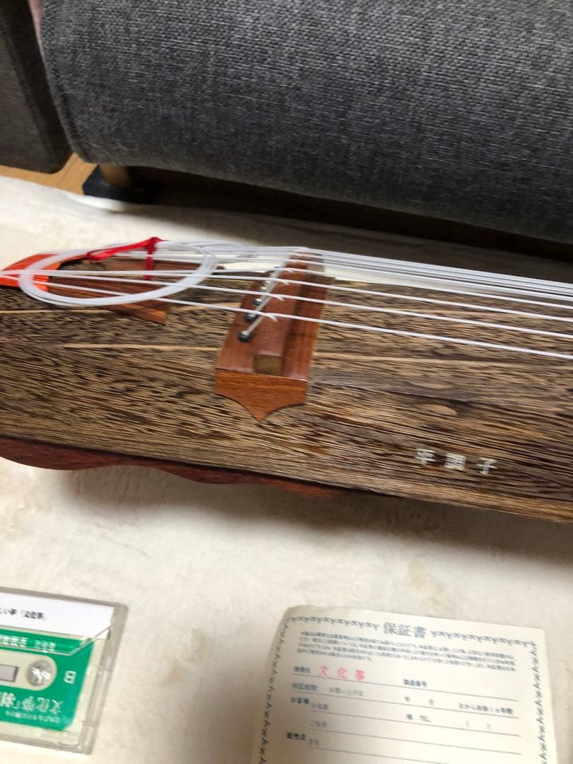 ゼンオン 文化琴 ケース付き