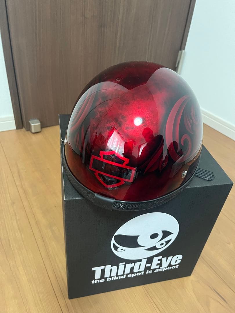 サードアイ 半帽ヘルメット オーダーペイント　【希少】イヤーパッド付