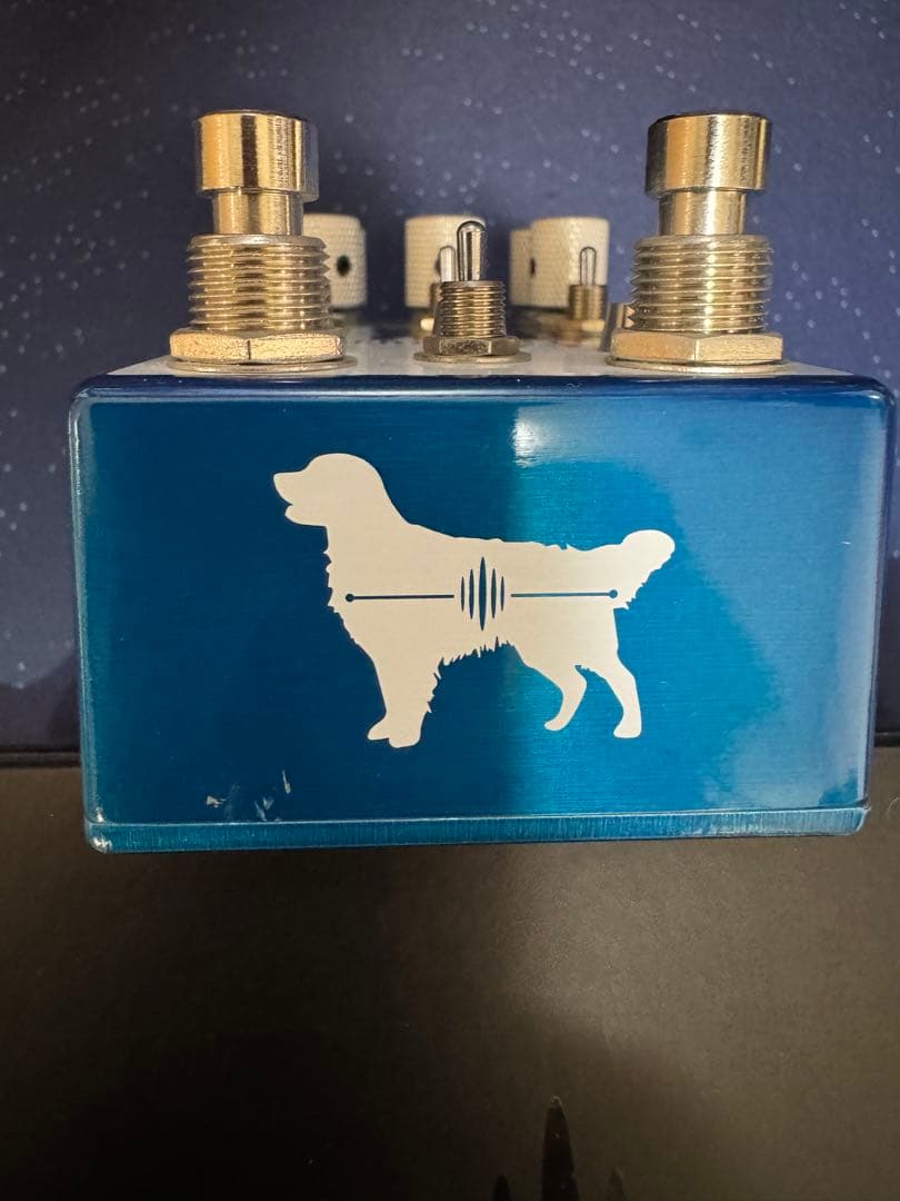 ギター Chase Bliss Audio Generation Loss