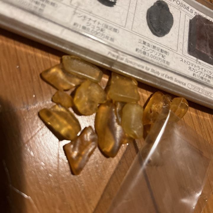 化石 アンモナイト 琥珀 亀 まとめ売り 三葉虫 スピノサウルス 爪