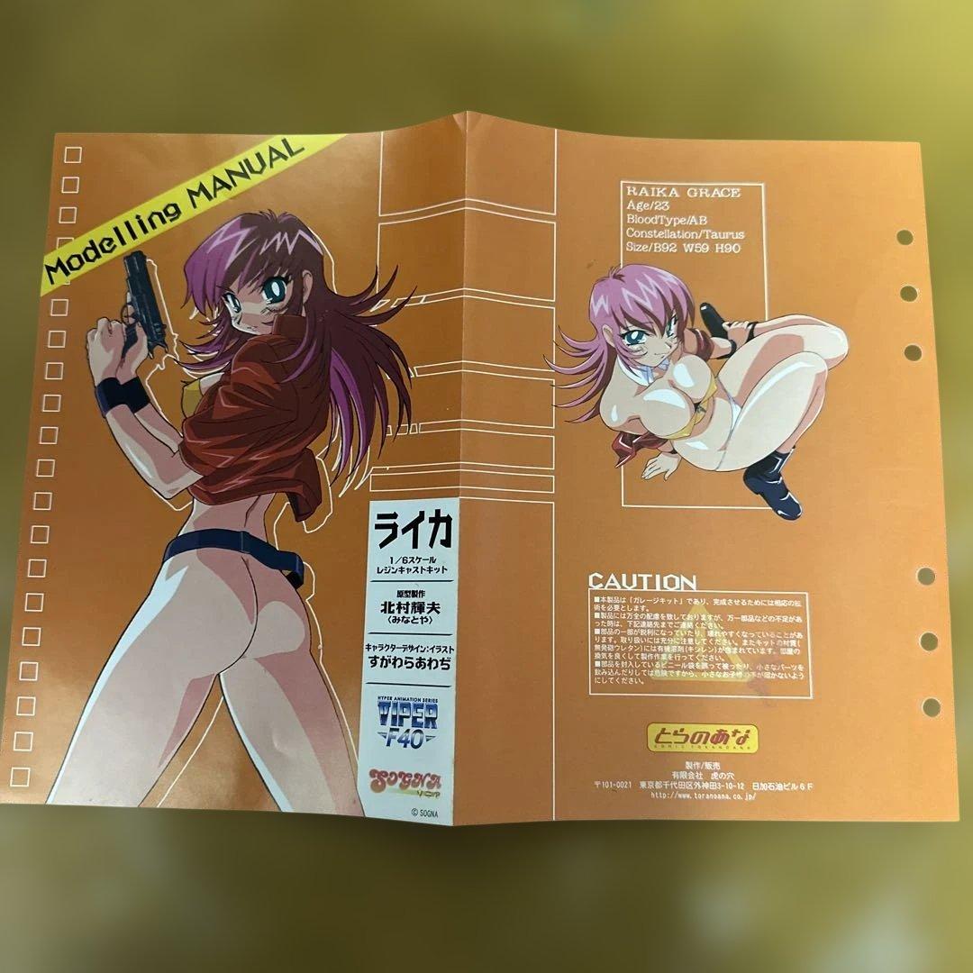 【レジンキャスト】VIPER F40 ライカ　スケール1/6