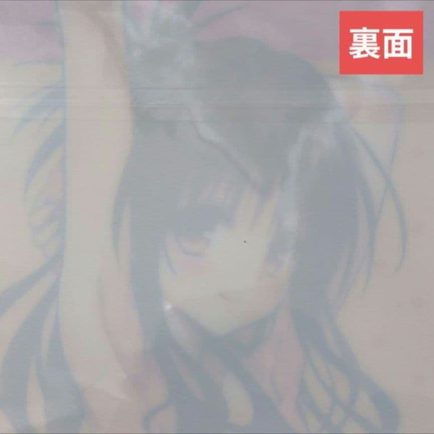 送料無料★美柑 当選品 透視A4クリアファイルとらぶるToLOVEるダークネス⑵