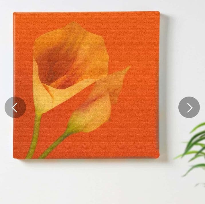 花のアートパネル インテリア雑貨 オレンジ poht-2205-01 つ178