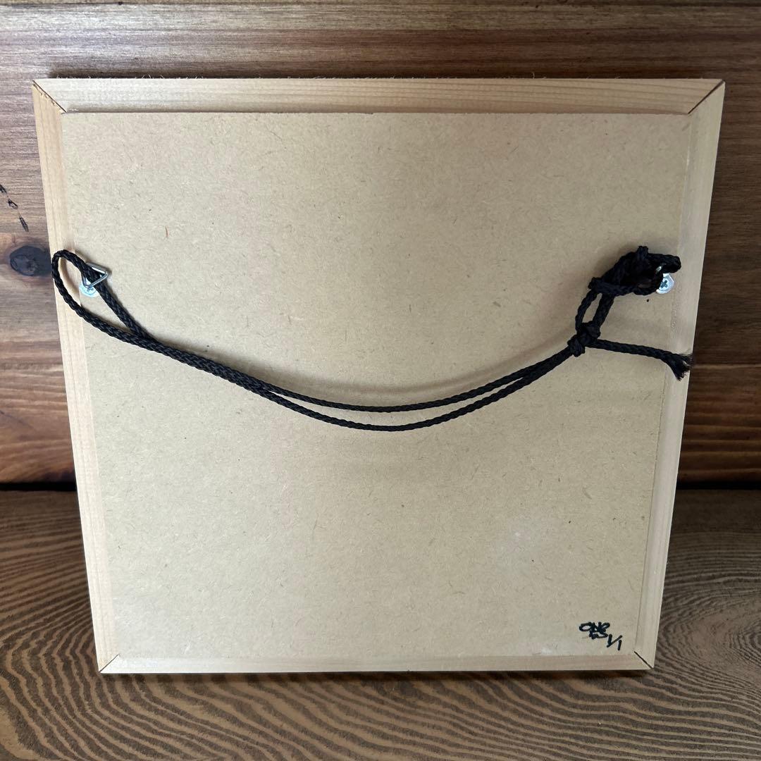 ono5s 原画　アウトドア　パキポディウムグラキリス　オノゴス