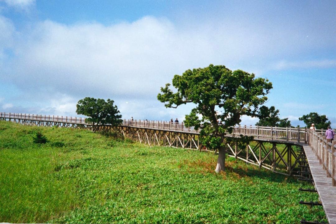 OLYMPUS 35 RC 製備品、テスト撮影済　170019