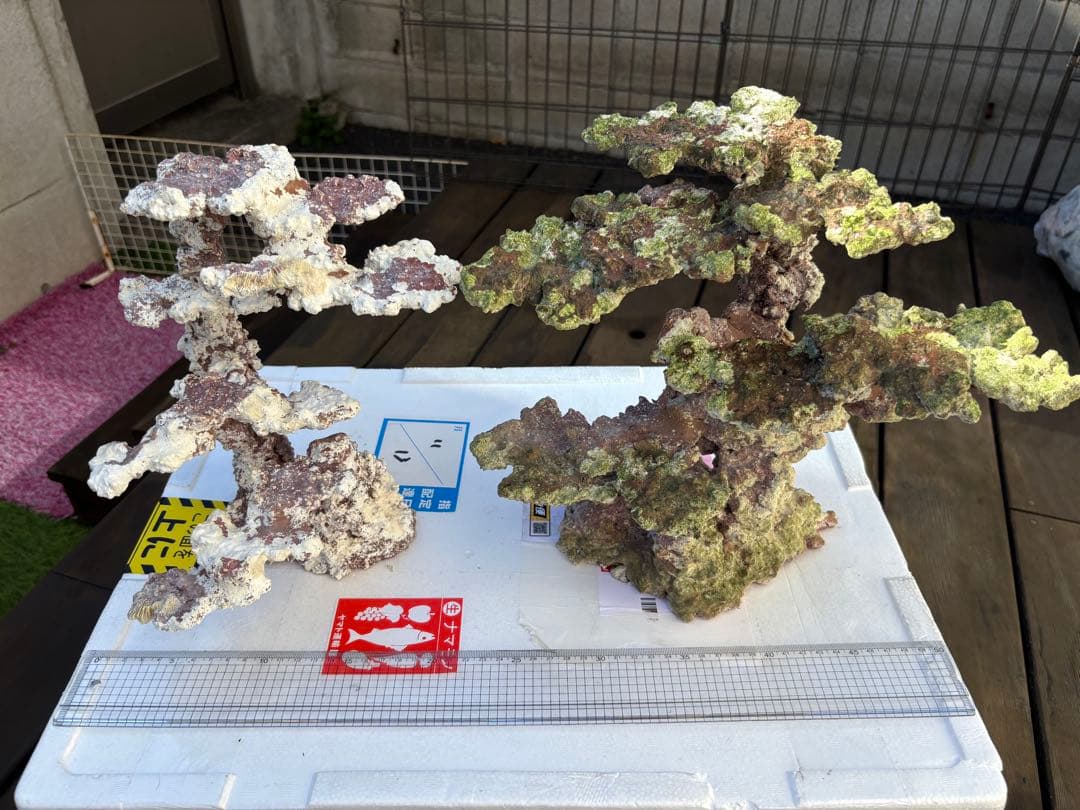 ライブロック 2点セット JSコーラル