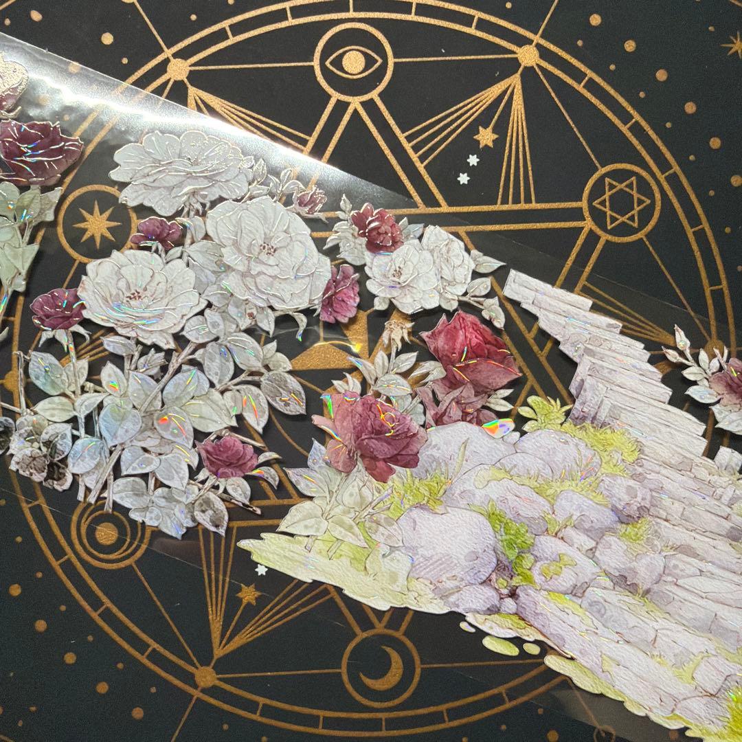 【8949】海外　マステ　中古巻　貝殻光マスキングテープ