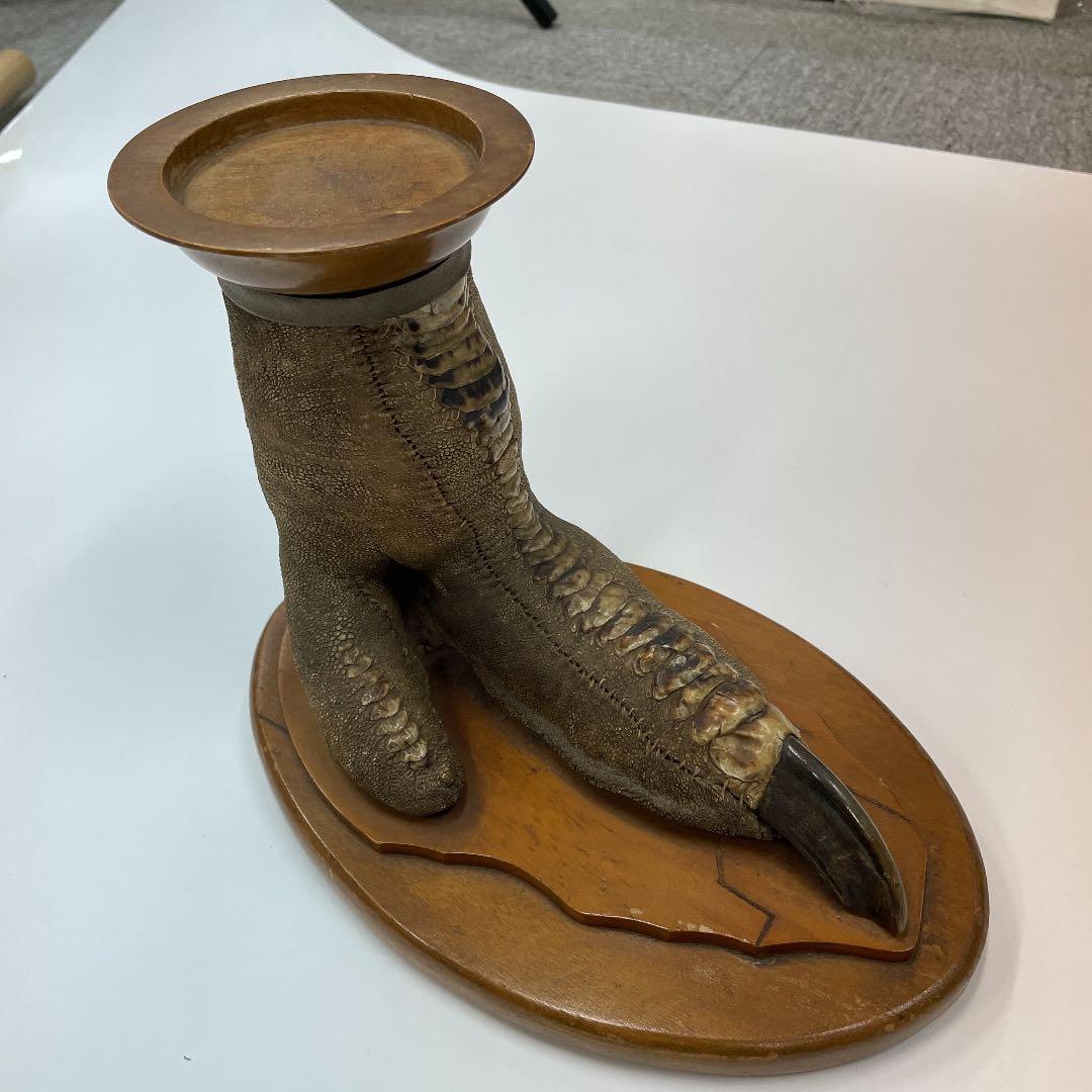 エミューの足の剥製　3連休お値下げ！