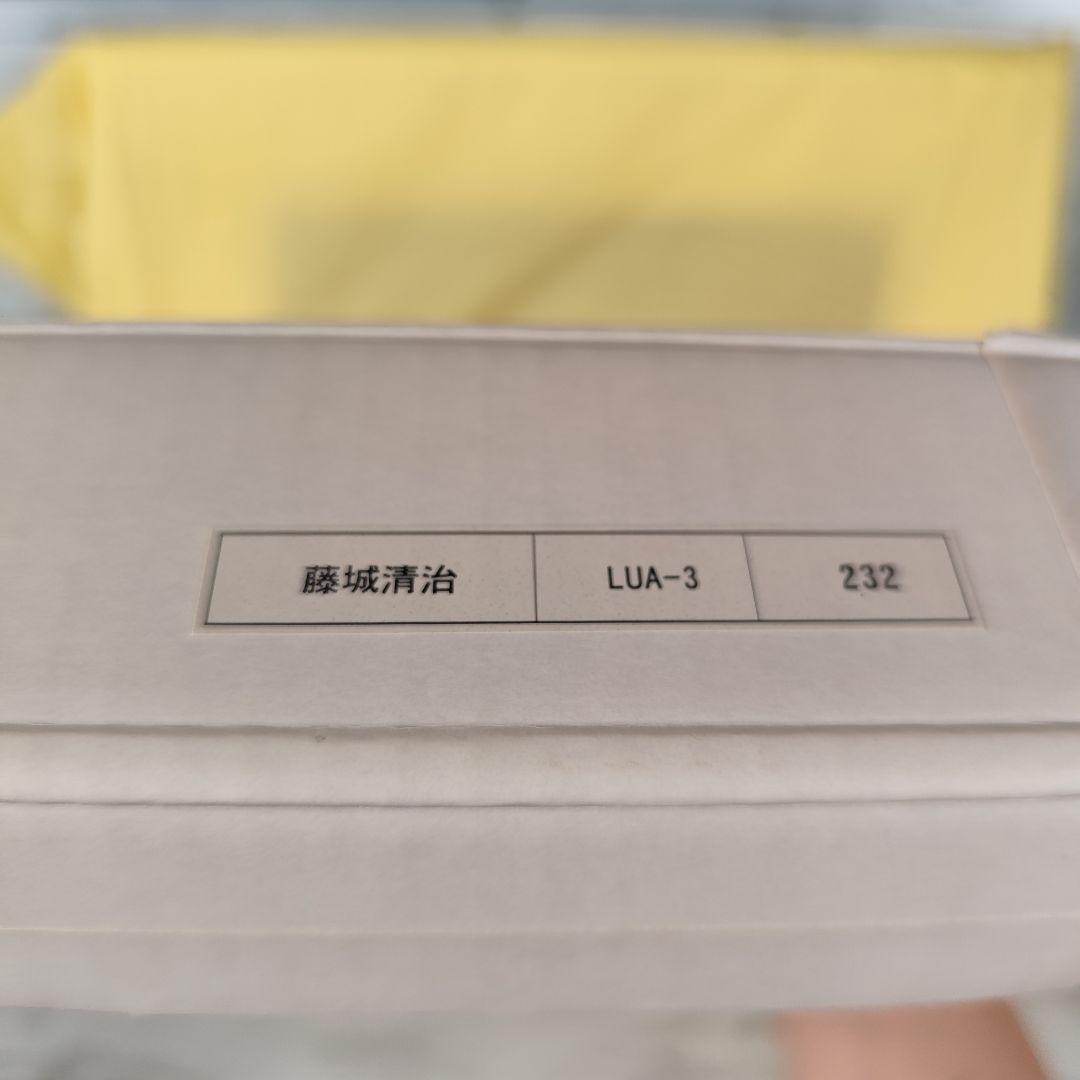 ★希少★ 藤城清治 悲しくも美しい平和への遺産 原爆ドーム ライトアップアート