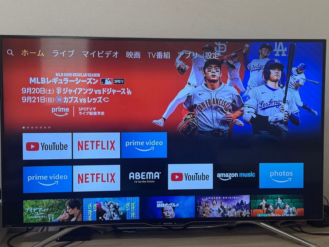 SHARP AQUOS LC-50U20 本体