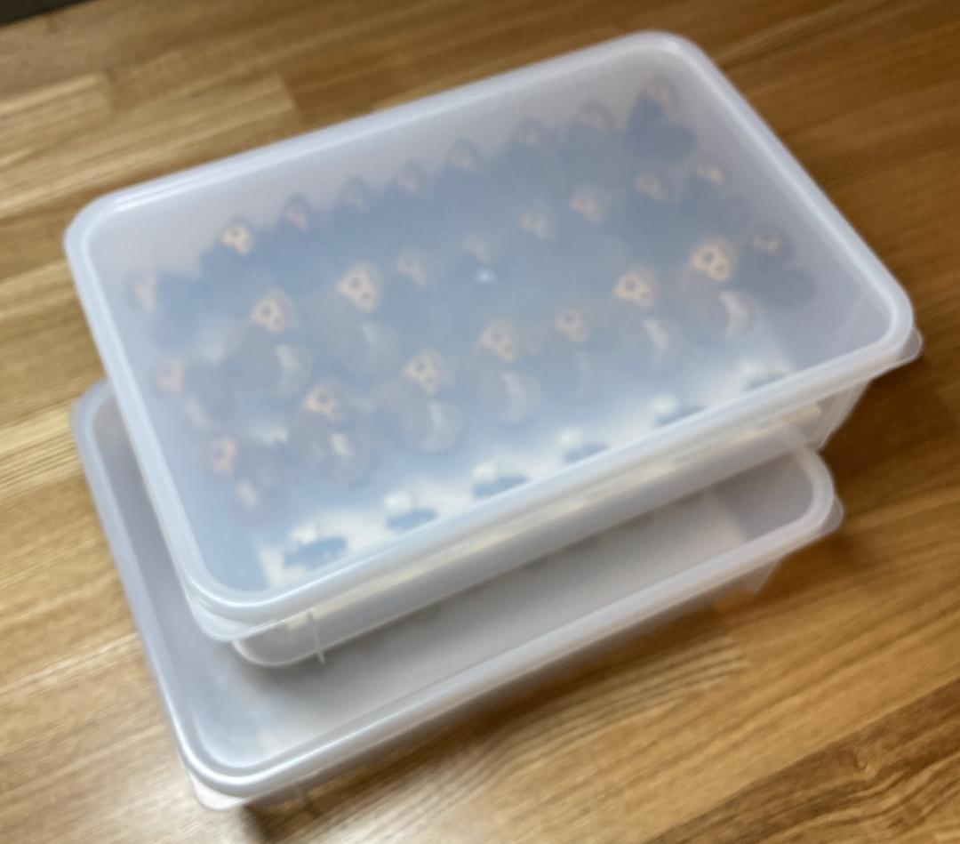 ベルサンタ　標本詰め合わせ