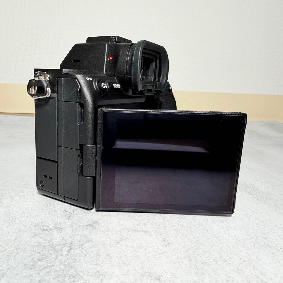 【美品】SONY α7S III ILCE-7SM3 シャッター回数744