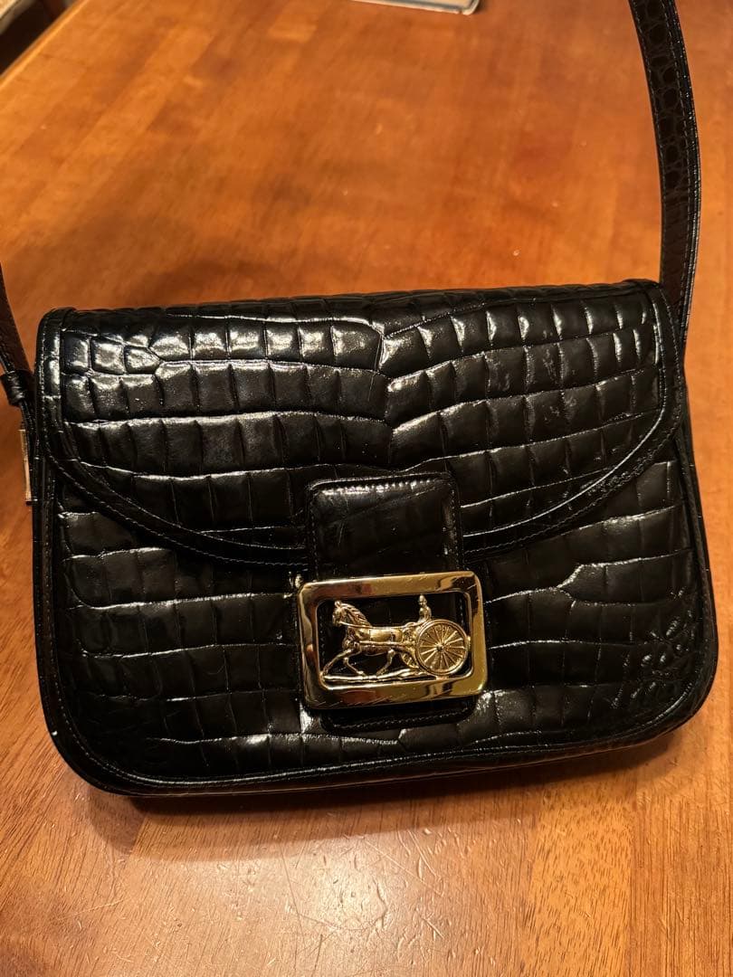 Celineオールドセリーヌ エナメル 型押し ショルダバッグ 黒