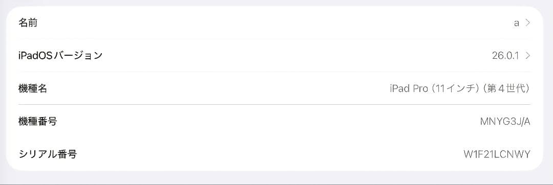 11インチ iPad Pro 第4世代 512GB Wi-Fi+Calluala