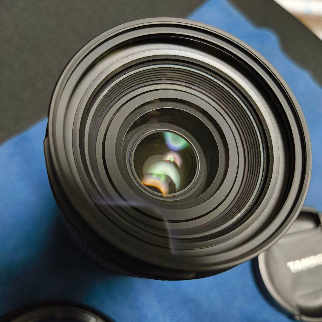 28-200mm F2.8-5.6 Di Ⅲ RXD SONY E