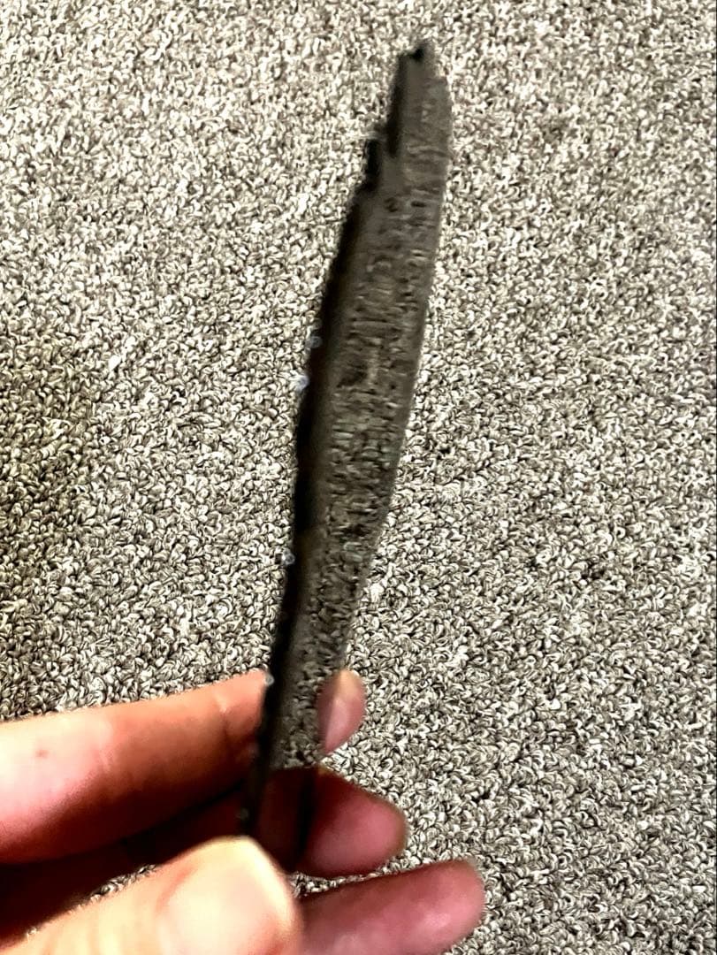 CAESAR　パラサイト隕石 セリコ隕石　石鉄隕石