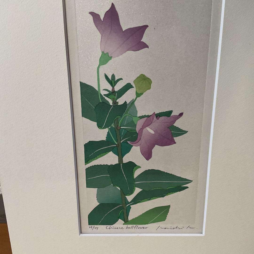 シルクスクリーン chinese bellflower 25/75