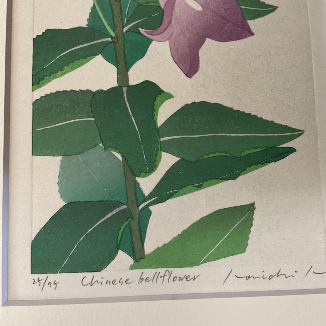 シルクスクリーン chinese bellflower 25/75