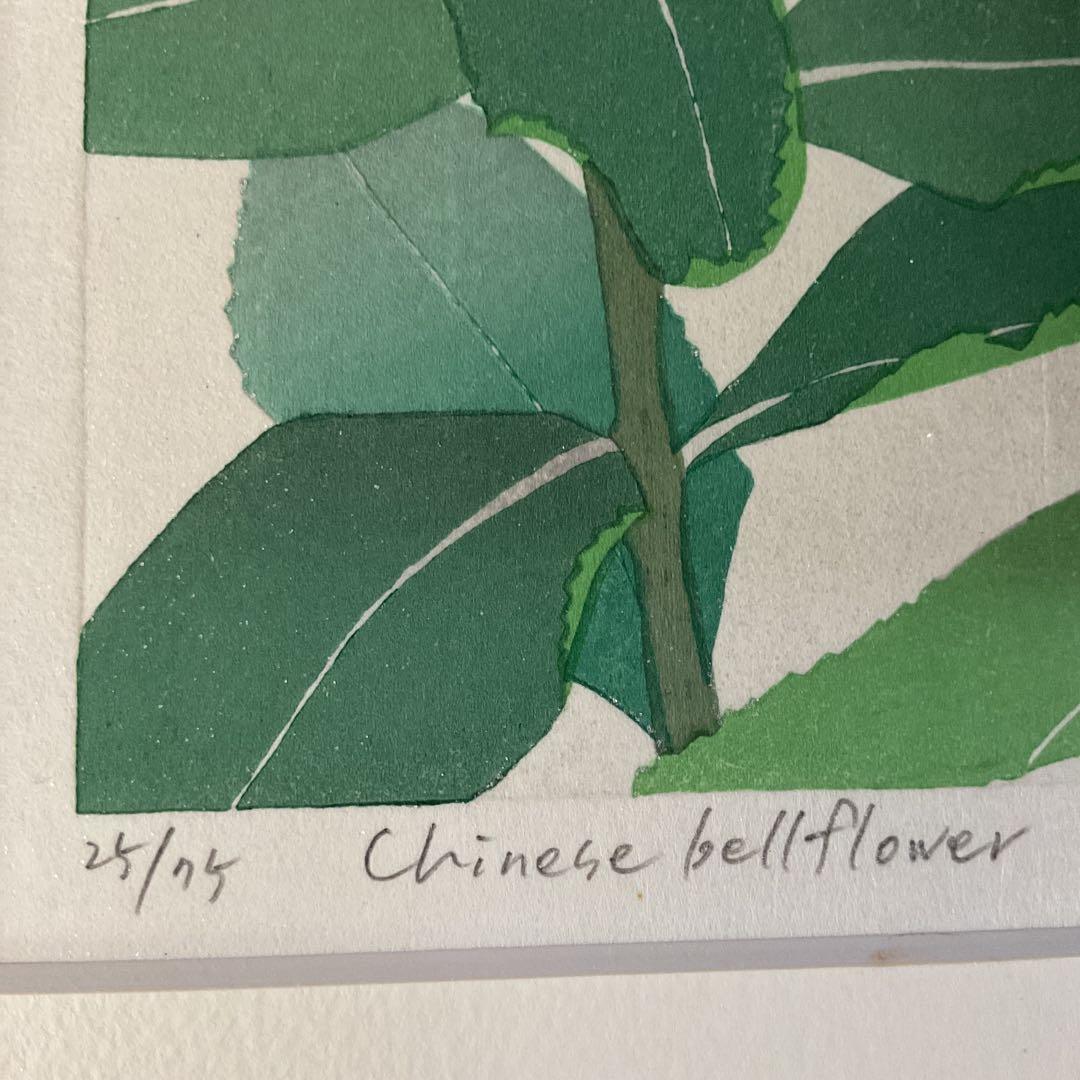 シルクスクリーン chinese bellflower 25/75