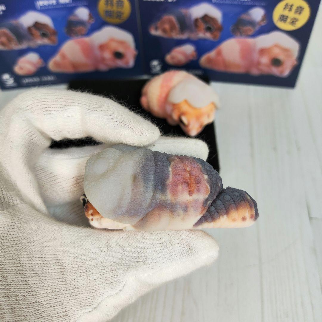 【動物の惑星】88体限定★ニシアフリカトカゲモドキ（脱皮版）2体!! フィギュア