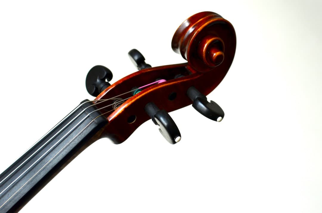 【新品】Gliga Cristian Maestro ガルネリ 4/4