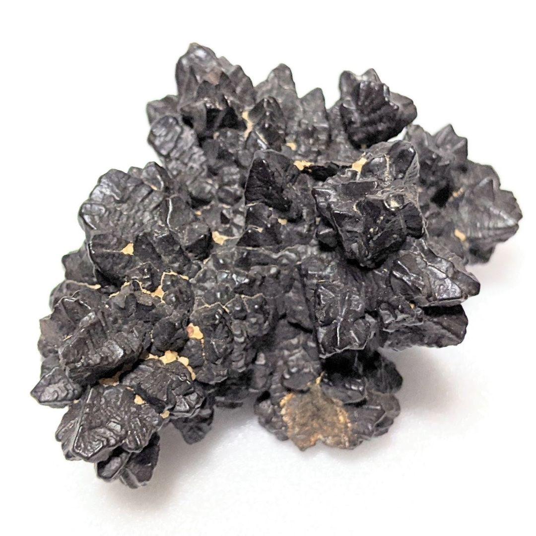 【エジプトの星】天然ライモナイト（褐鉄鉱）アフターマーカサイト【ゼットストーン】