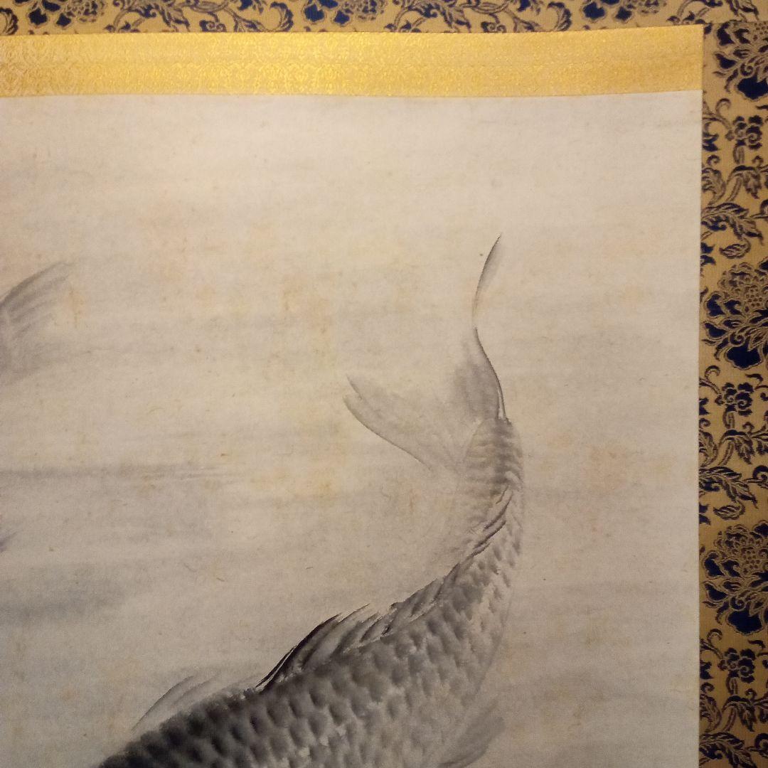 真作「名品希少大作」掛け軸 鯉の光達 森田光達(雙鯉・識箱)