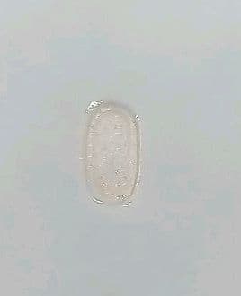 香合 染付 張甲牛 清閑寺窯 杉田祥平 茶道具