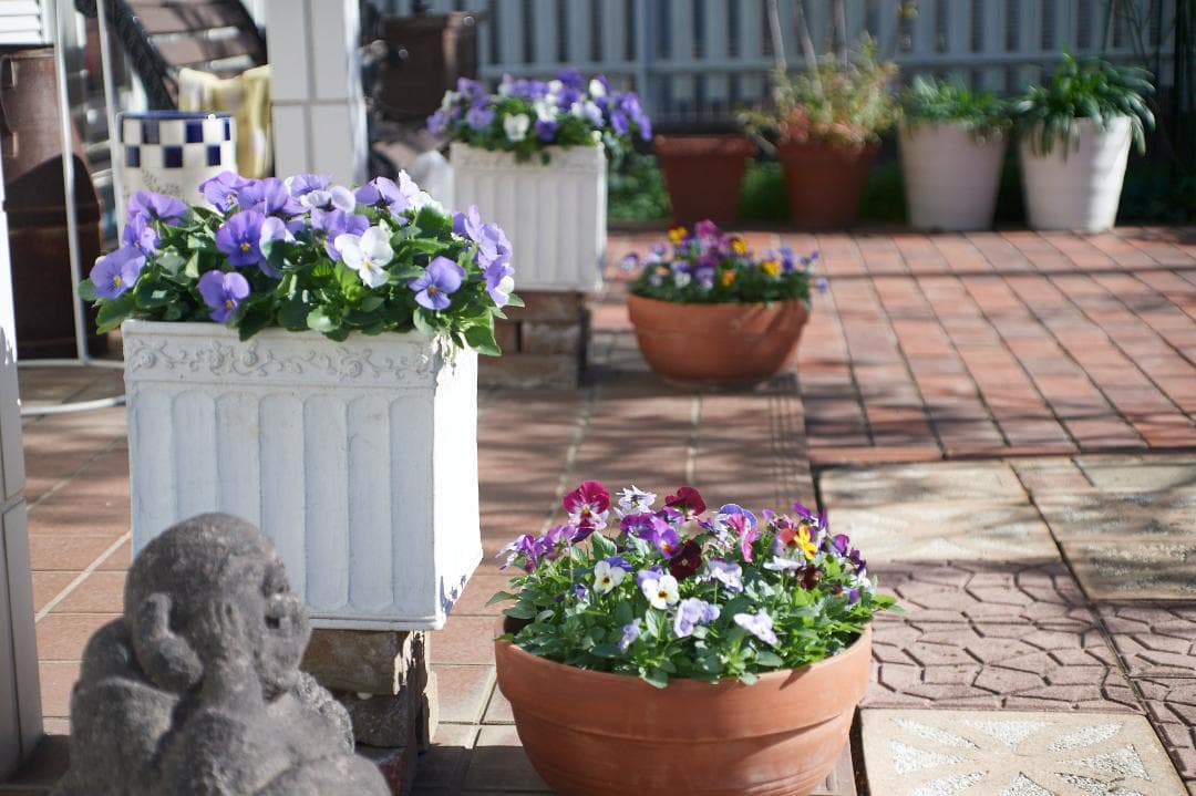 SMC PENTAX F1.4 /50mm KマウントL37