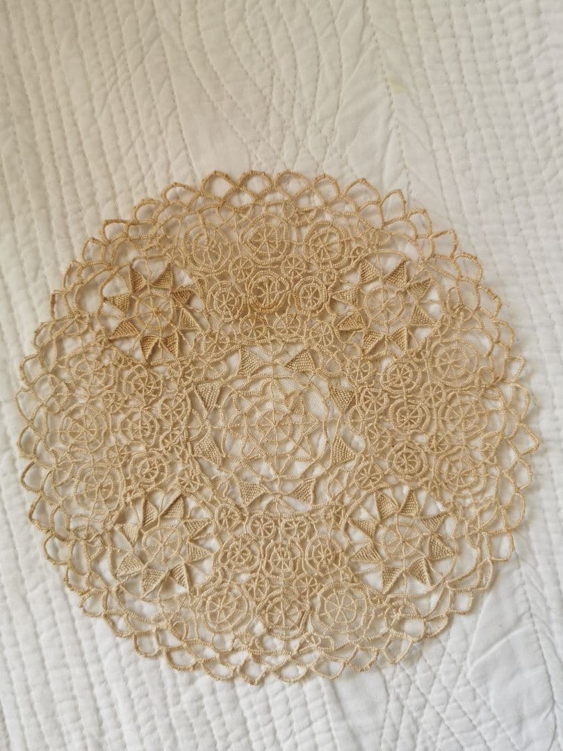 アンティーク レティセラレース 線状のニードルワーク プントインアリアドイリー