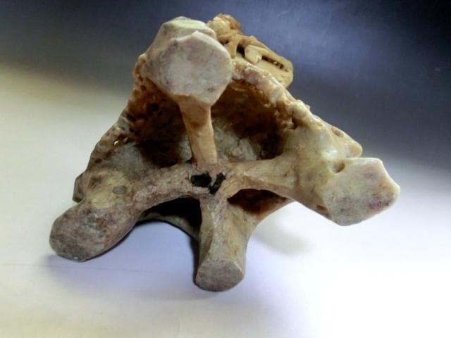 花瓶●寿山石 石彫り 花器 手掘り 花唐草 鳥 土物 古玩 唐物 時代物 骨董品