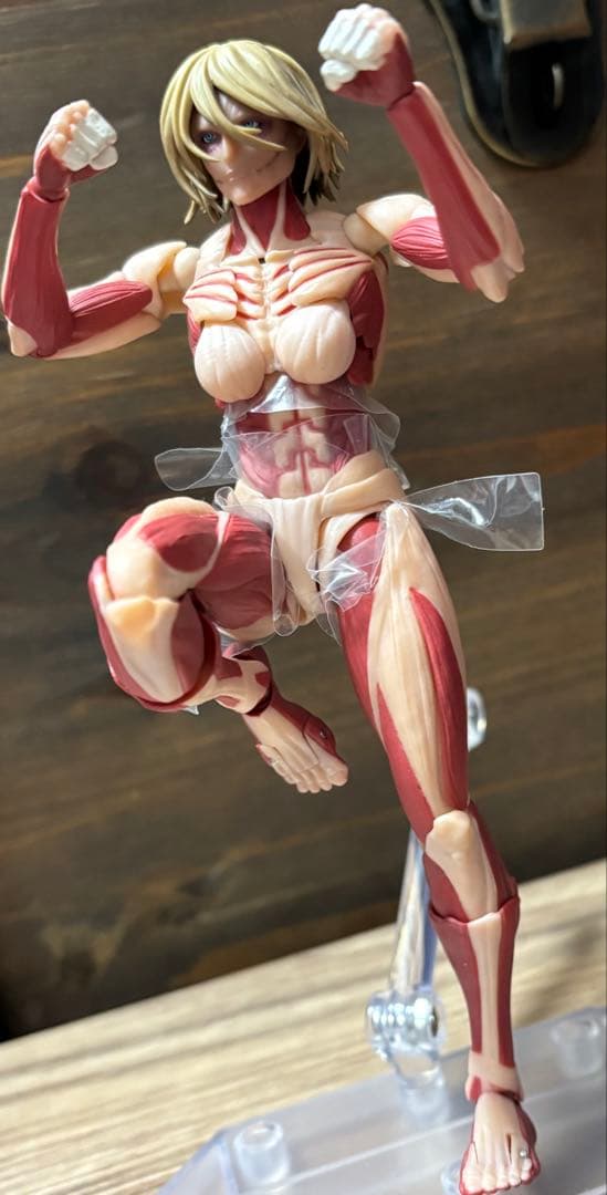 海洋堂 リボルテック アメイジングヤマグチ 進撃の巨人 女型の巨人