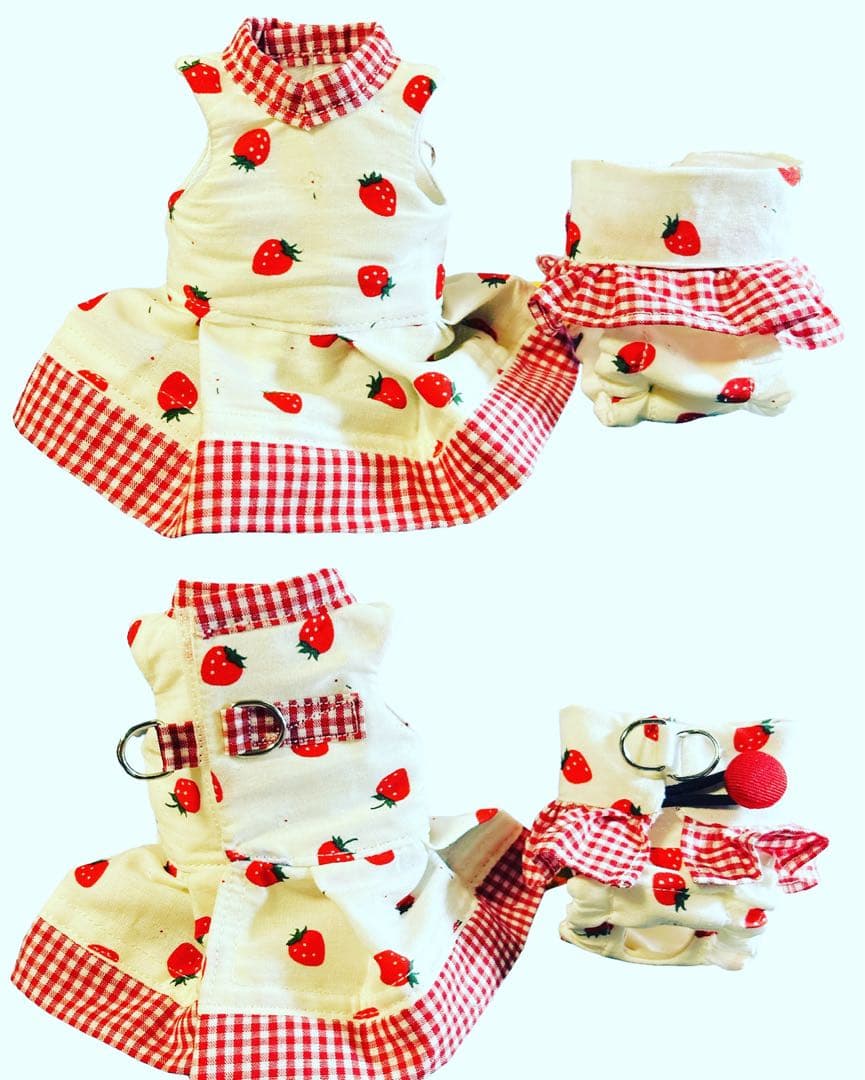 【10/20〜ハンドメイド販売終了】小動物ハーネスオーダー受け付け