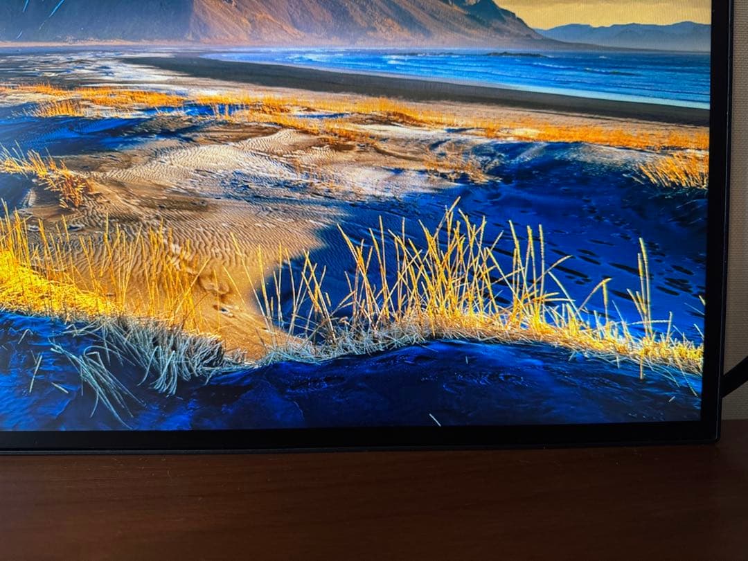 【Yuri0712】 2枚セット ThinkVision 本体のみ