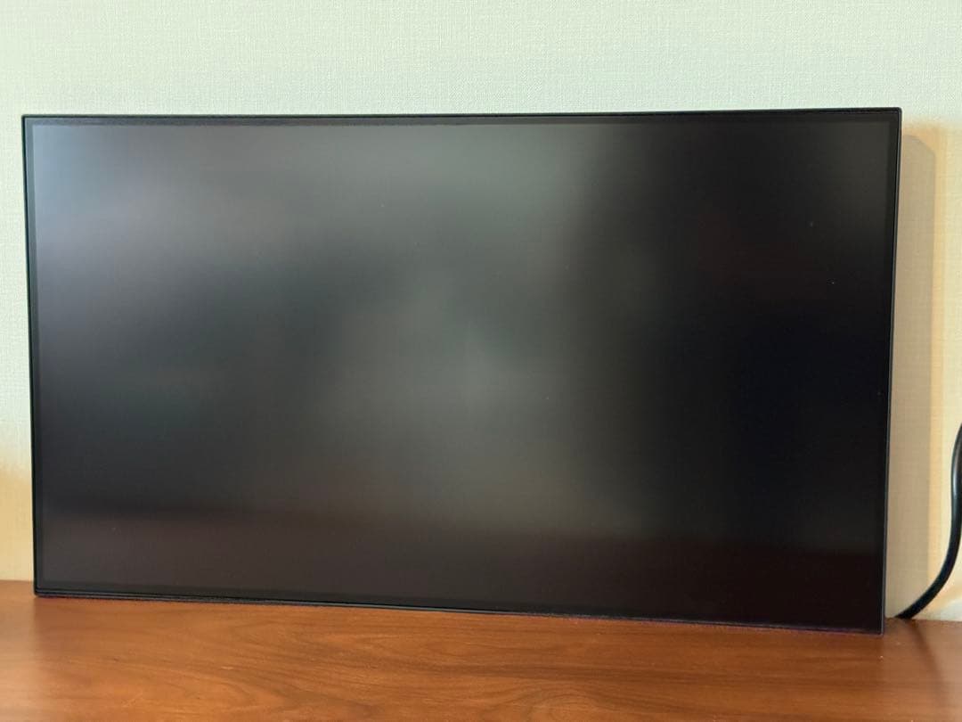 【Yuri0712】 2枚セット ThinkVision 本体のみ