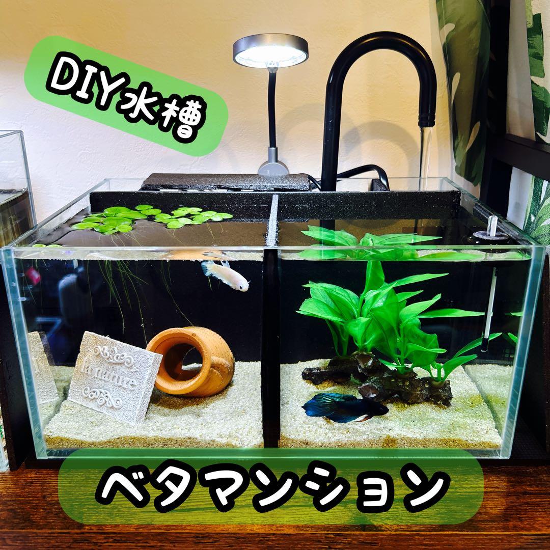 【セット品&改良型】ベタマンション 自作 DIY ベタ 水槽　使用済み