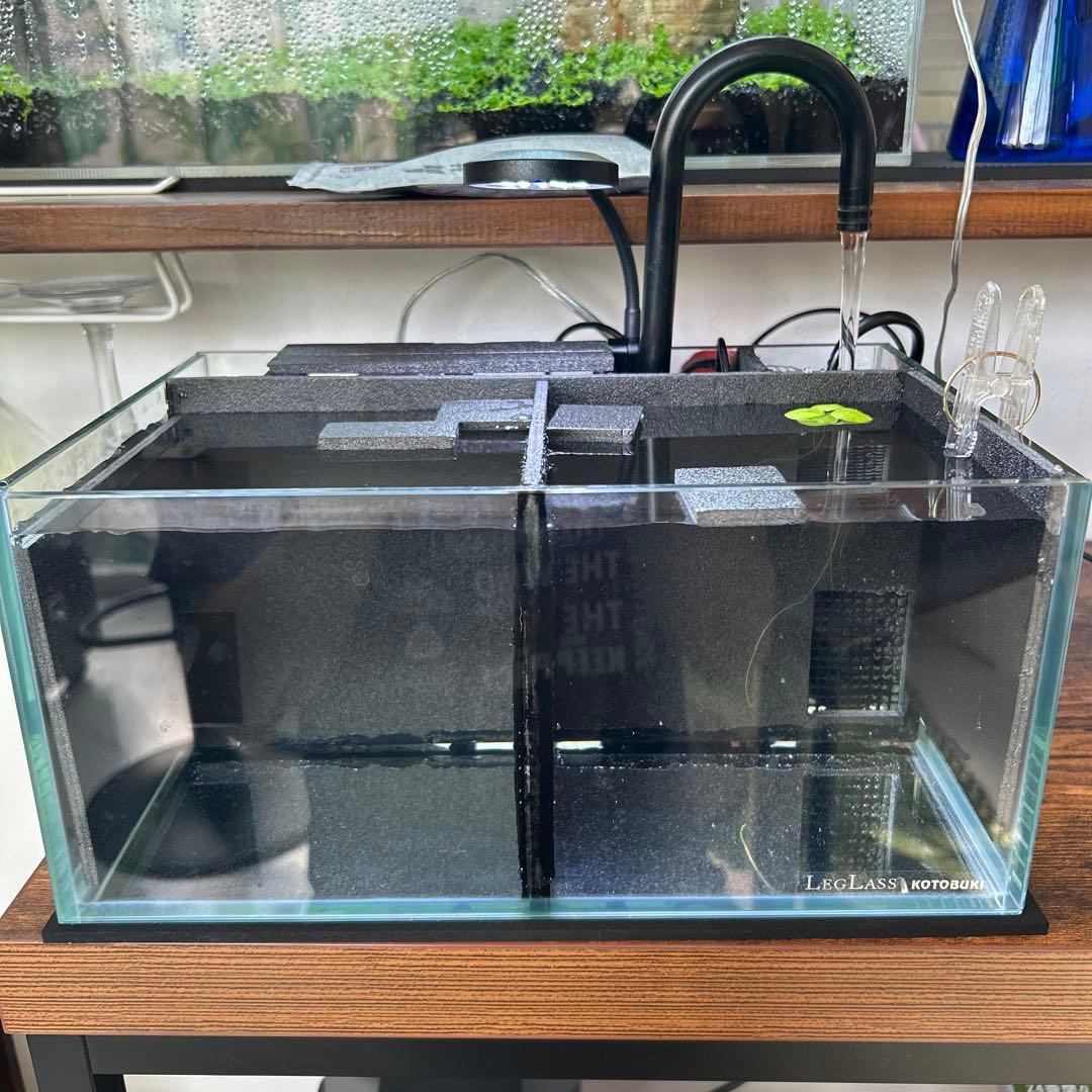 【セット品&改良型】ベタマンション 自作 DIY ベタ 水槽　使用済み