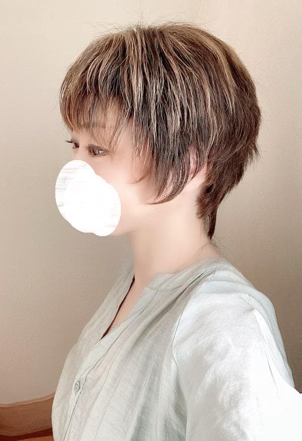 訳アリ　フォンテーヌ　VALAN　メッシュカラー　ショート