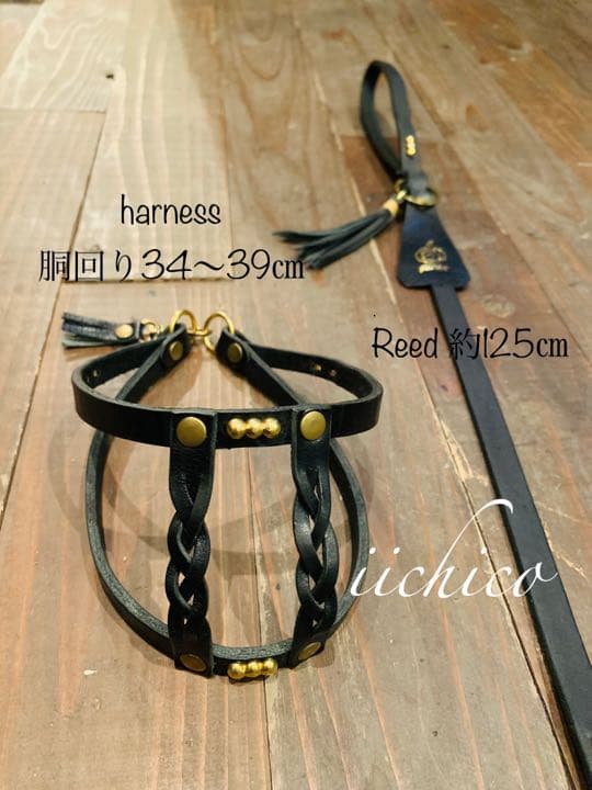 犬用　リード＆ハーネス【本革】original BLACK STUTS❣️