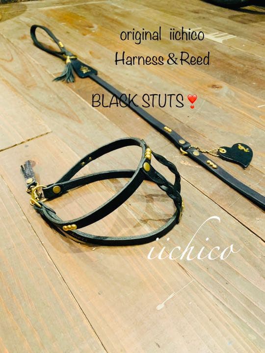 犬用　リード＆ハーネス【本革】original BLACK STUTS❣️