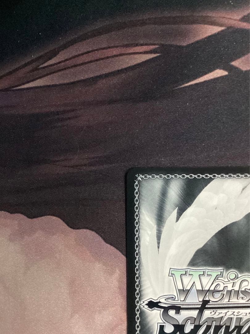 WS ガンゲイルオンライン LPFM レン SEC＋ サイン シク シークレット