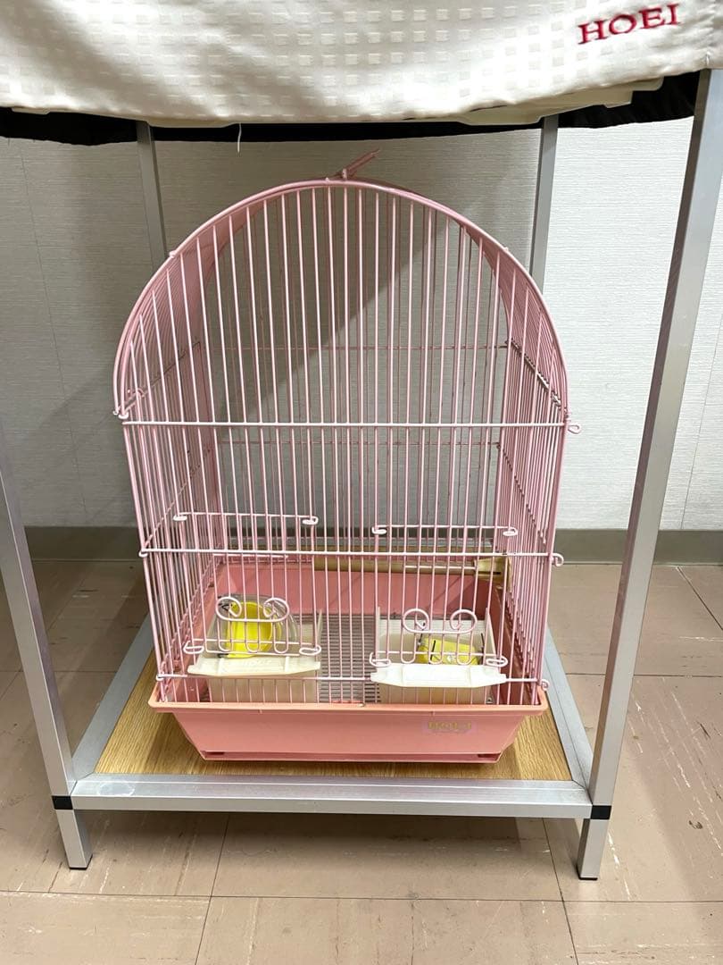 【直接お渡し限定】HOEI 465インコ手のり