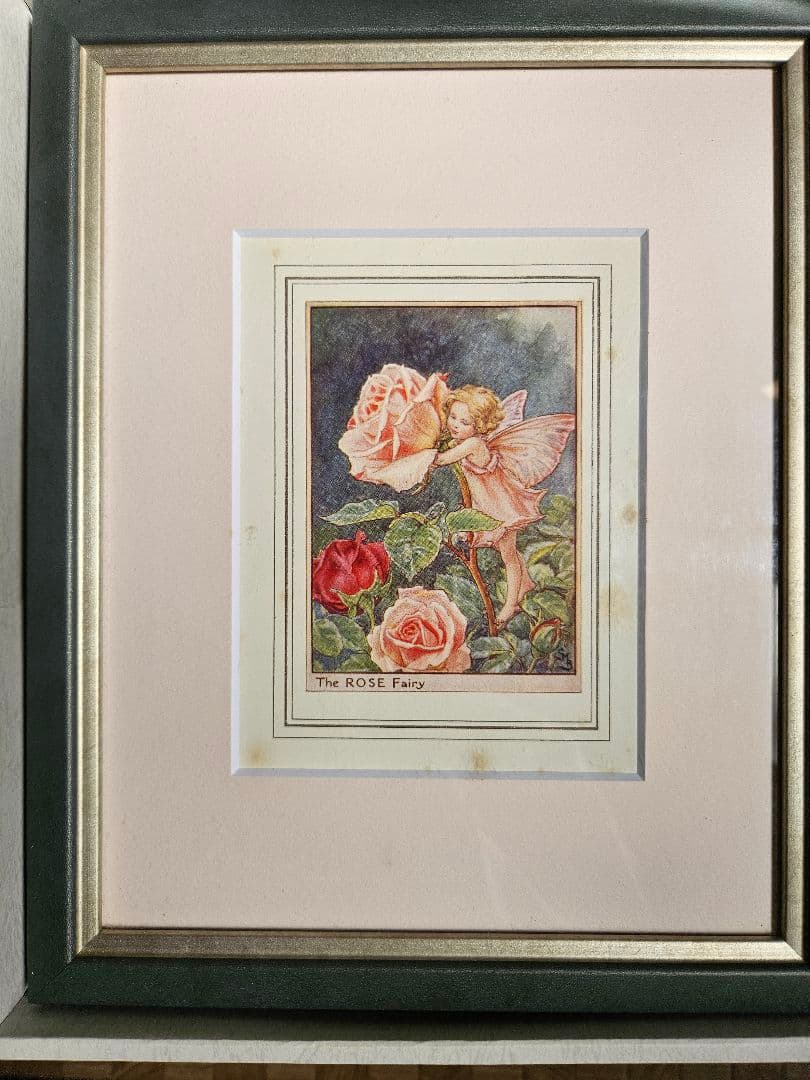 メアリー・シシリーバーカー 花の妖精　　薔薇の妖精