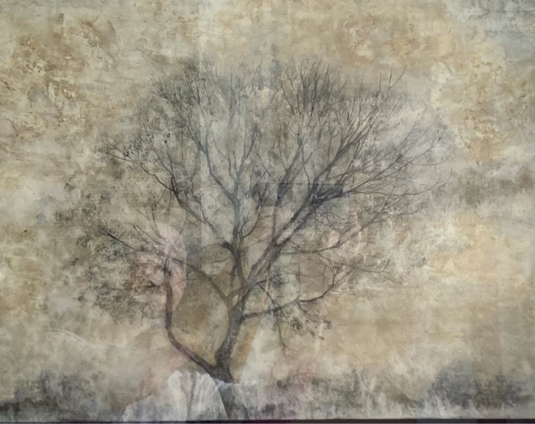 大橋拓子「記憶の風景」 額装● 日本画作品 人の内面を描き出してます●