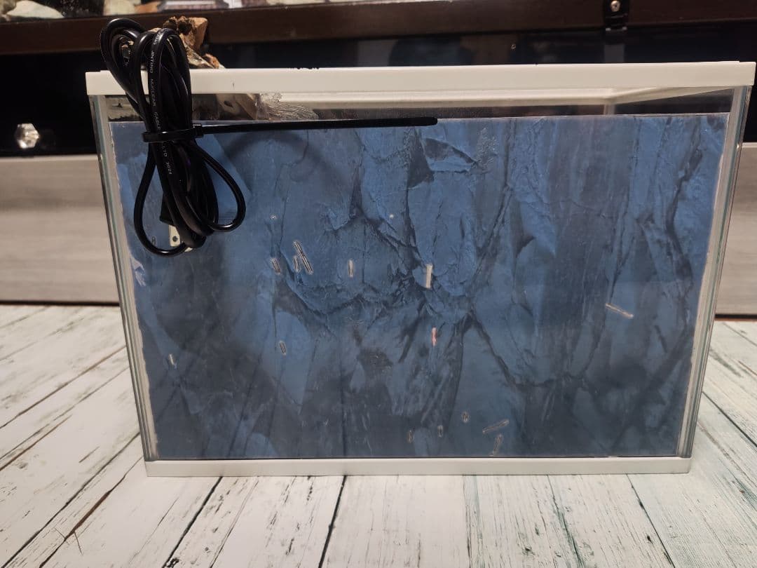 滝が流れる水槽レイアウト 日本庭園風 橋付き